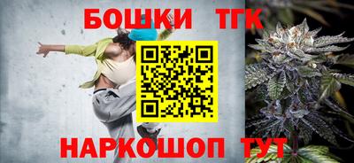 мдпв Жуковский