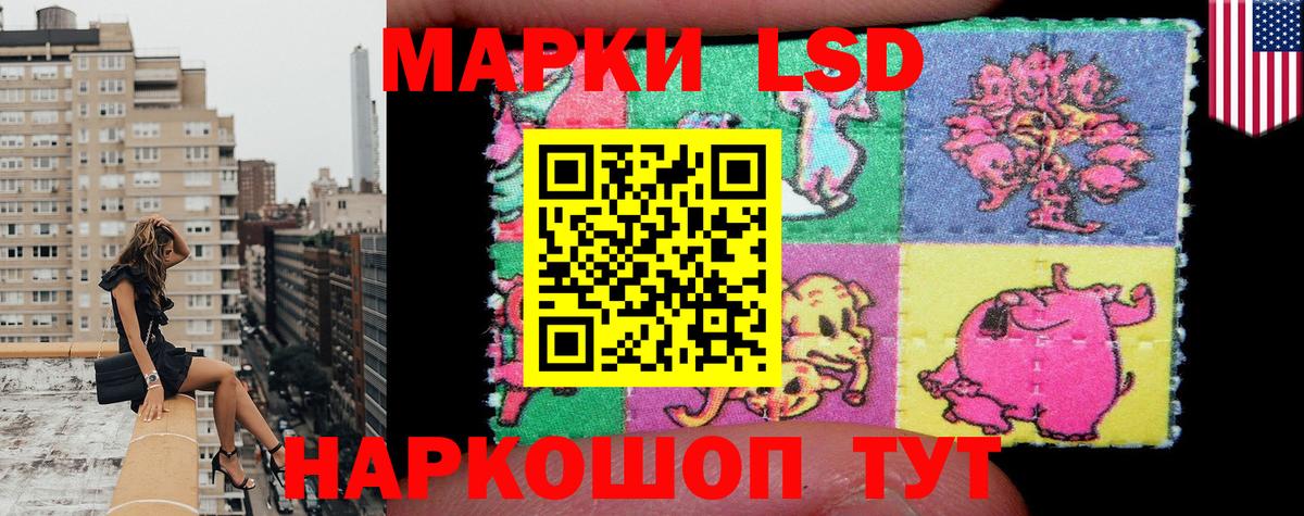 Ленинск-Кузнецкий  купить наркотики цена  Марки 25I-NBOMe 1500мкг  Вход с VPN  Марки 25I-NBOMe 1500мкг 
