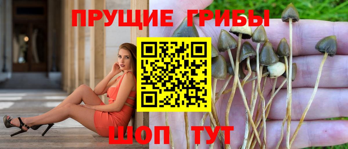 Ленинск-Кузнецкий  Псилоцибиновые грибы мицелий  Галлюциногенные грибы прущие грибы  Вход с VPN 