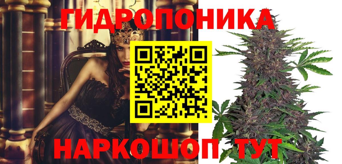 Ленинск-Кузнецкий  Бошки марихуана тримм  Конопля гибрид  Конопля план  Вход с VPN 